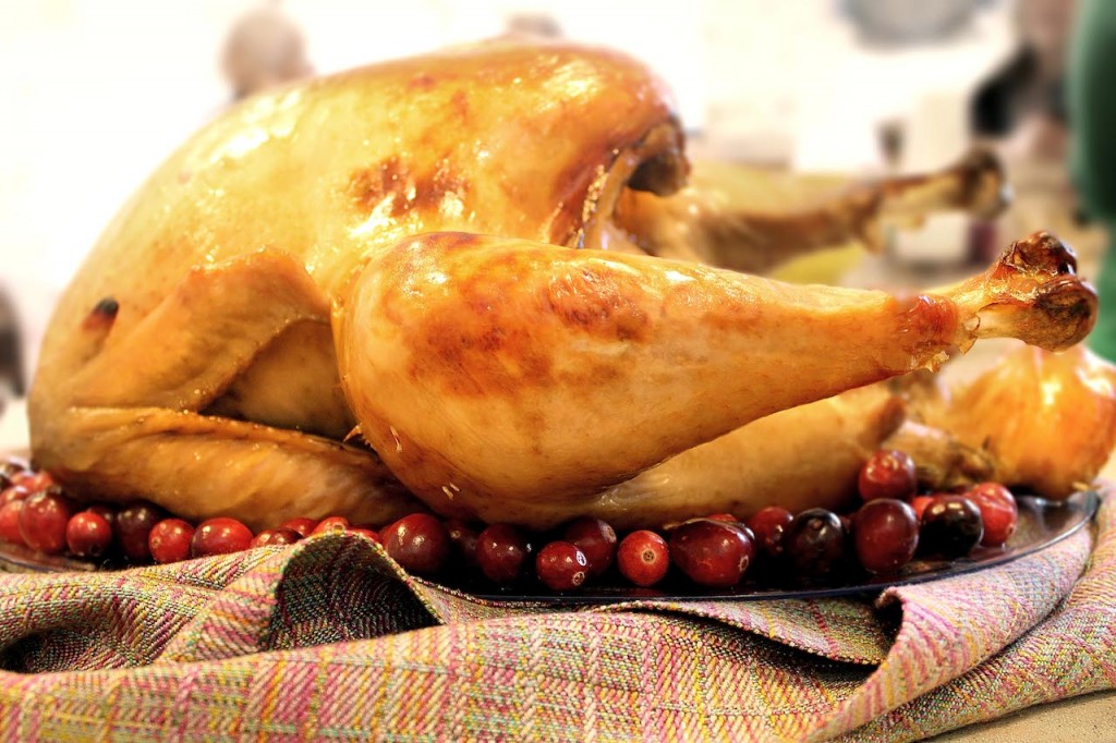 Eight shaft two block twill Tencel scarf sets off the perfect brined and roasted turkey for Thanksgiving dinner.